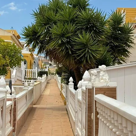 House With A Large Outside Space * Orihuela