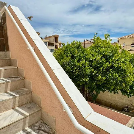 House With A Large Outside Space Orihuela